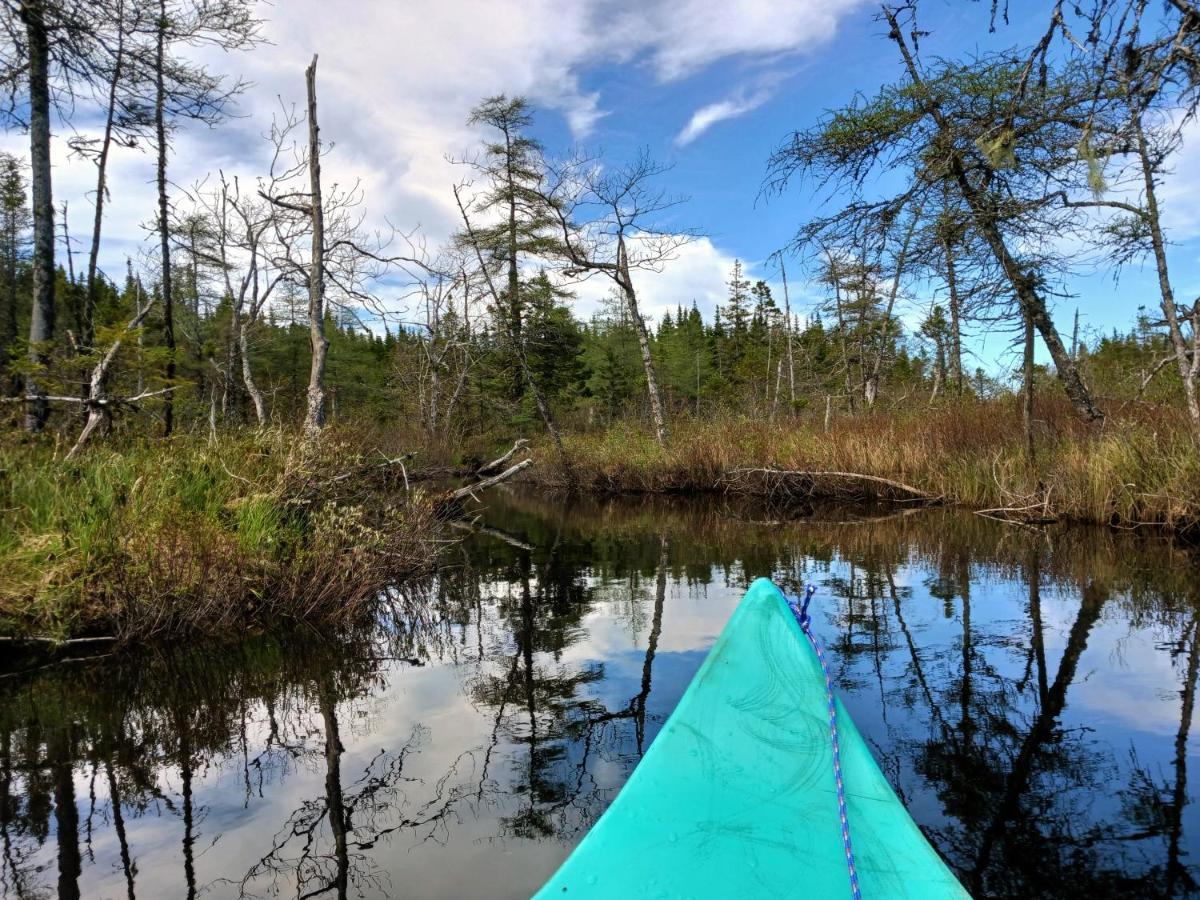 Fiddler's Lake Escape Gabarus Eksteriør bilde
