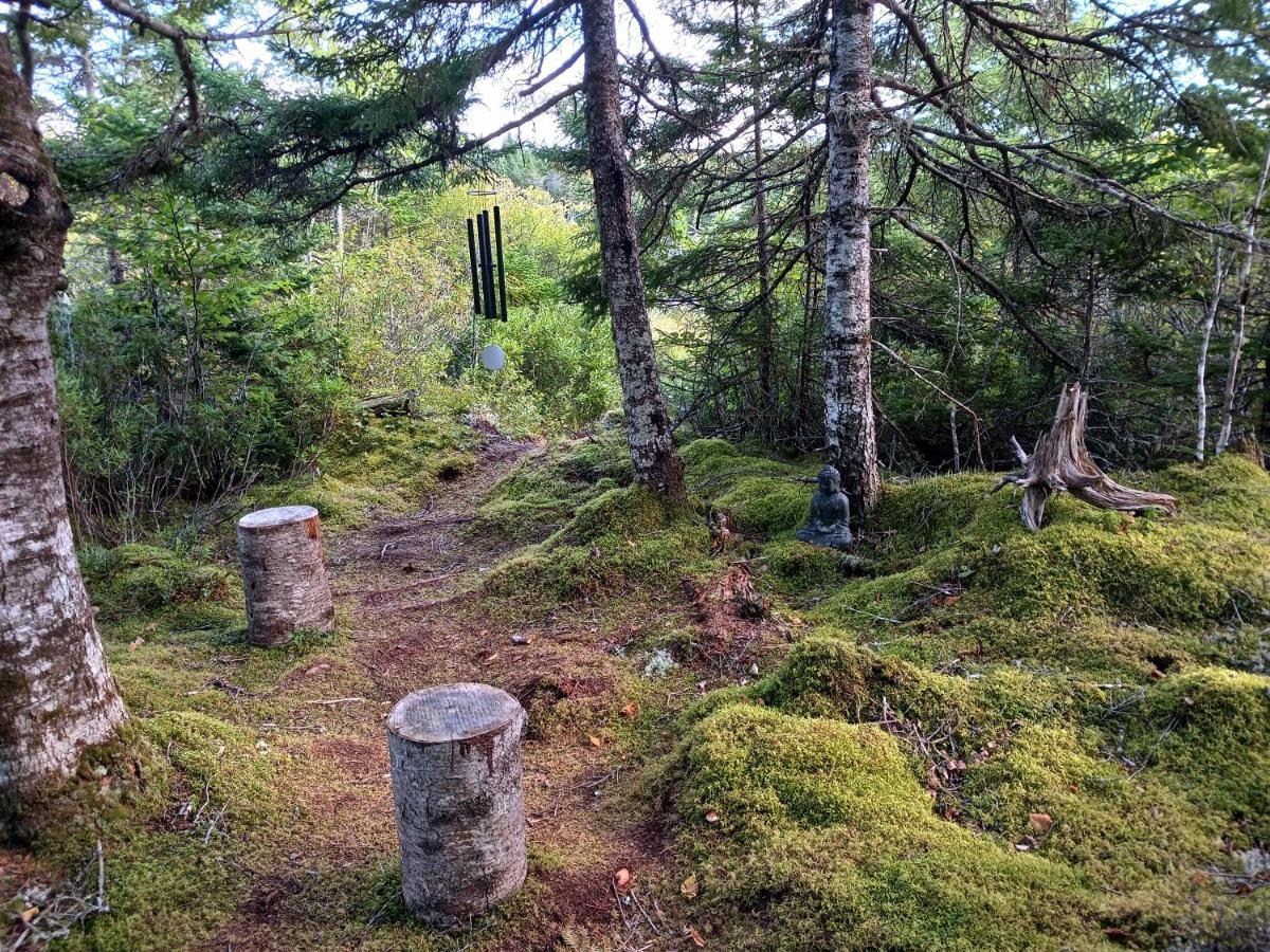 Fiddler's Lake Escape Gabarus Eksteriør bilde